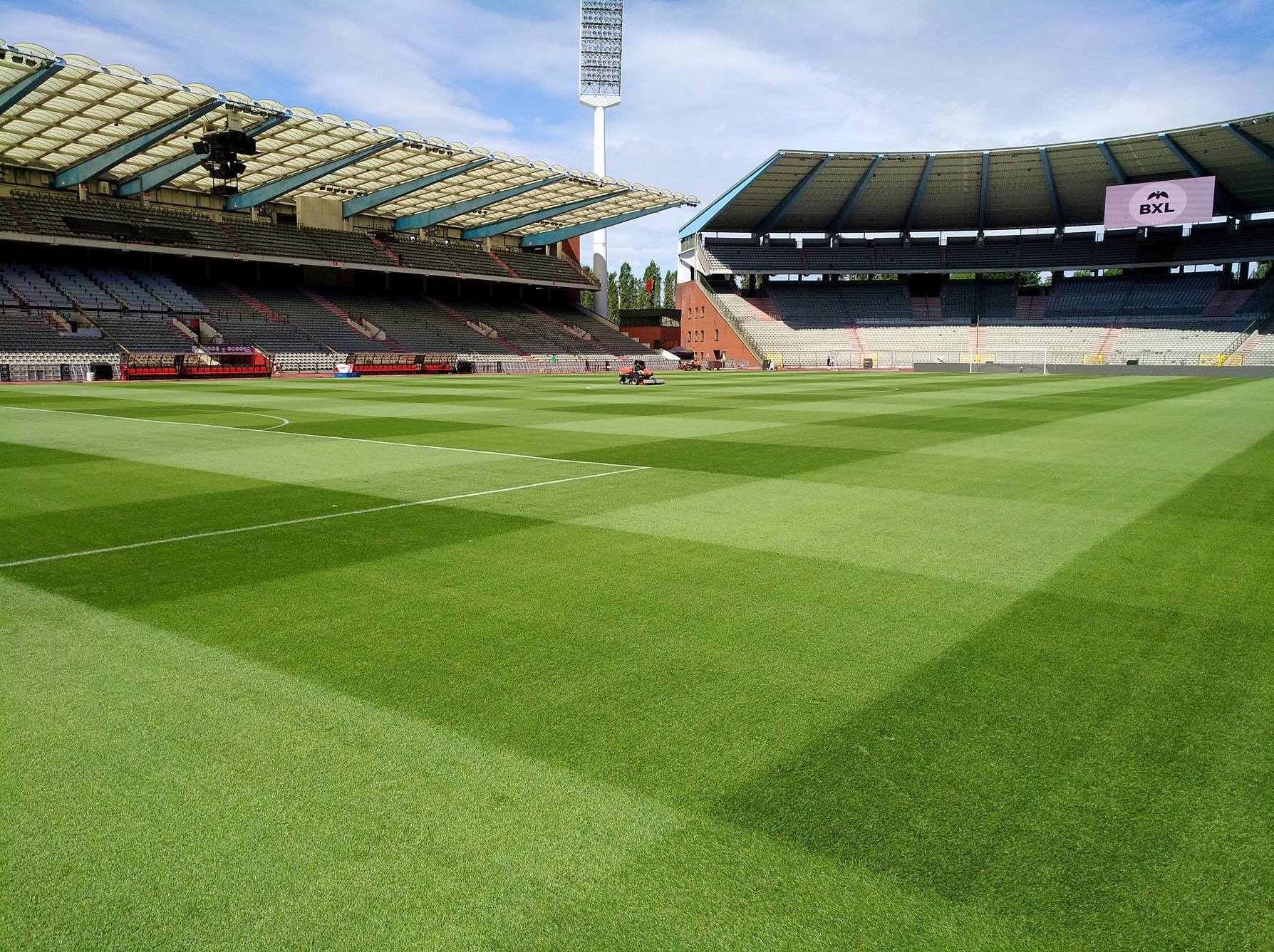 Koning Boudewijnstadion - perfecte grasmat